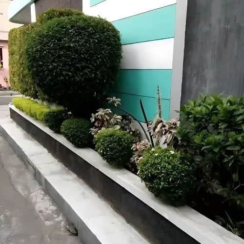 Rumah Cantik di Jl. Palagan Km 7, Dekat UGM - Semi Furnish foto 3