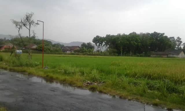 Tanah Luas 7000m Zona Industri/Gudang Dekat SGM Prambanan, Jl Raya Jogja-Solo foto 3