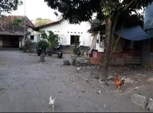 Jual Cepat SHMP 1873m2 dekat UGM & UNY + Bonus Kost Strategis foto 2