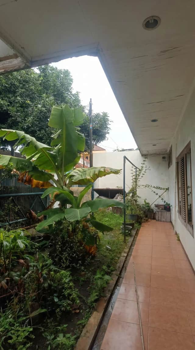 Dijual/Disewakan Rumah Megah Mrican,Demangan,Gejayan Dekat UNY,UAJY Hukum, Sanatadharma foto 5