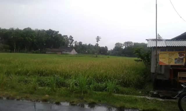 Tanah Luas 7000m Zona Industri/Gudang Dekat SGM Prambanan, Jl Raya Jogja-Solo foto 2