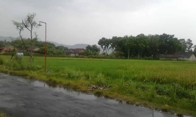 Tanah Luas 7000m Zona Industri/Gudang Dekat SGM Prambanan, Jl Raya Jogja-Solo 3