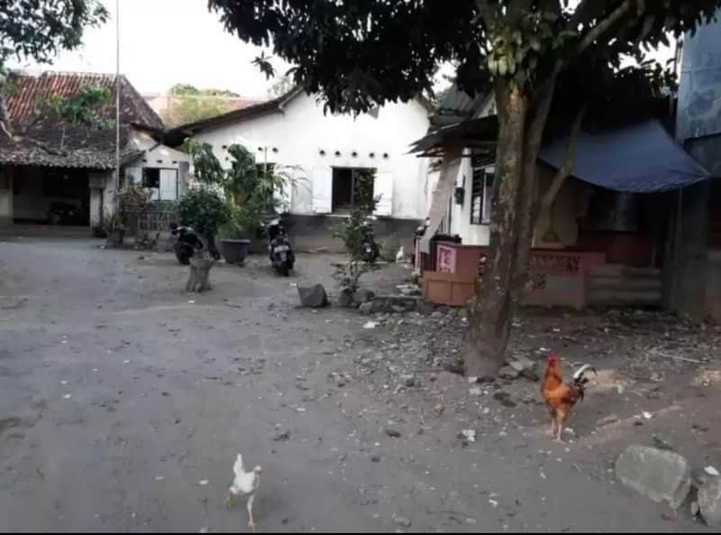 Jual Cepat SHMP 1873m2 dekat UGM & UNY + Bonus Kost Strategis 2