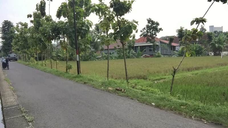 Tanah SHM Pekarangan 2.852m² Strategis Dekat Ring Road & UGM - Kesempatan Emas Investasi! 6