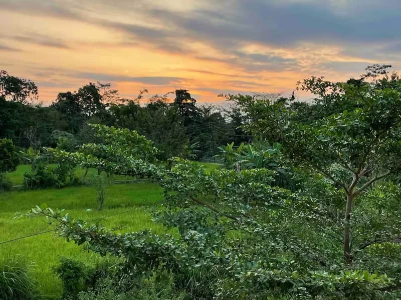 Villa Cantik Di Jalan Palagan Utara Hyatt Dekat Filosofi Coffee 14